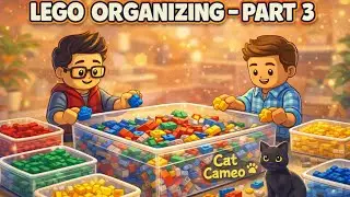 Relaxing LEGO Organizing ASMR (Part 3) 🧱✨ | Sorting, Progress & a Surprise Cat Cameo