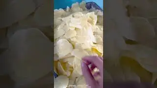 Industrial potato chips cutter