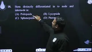 Stem distinctly differentiated in to node and internode in:....