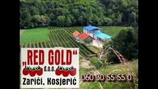 Hladnjača Red Gold doo sa sopstvenim zasadima