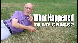 If your grass is turning brown -- here's why and what to do about it.
