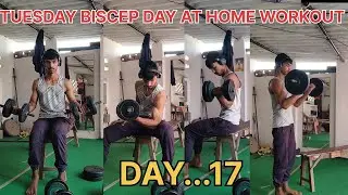 DAY..17  TUESDAY BISCEP DAY AT HOME WORKOUT 🏋️