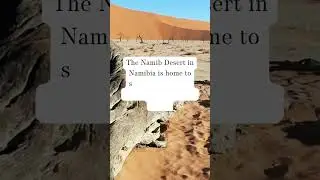 Land of Endless Dunes |#shorts #youtubeshorts #viral #namibia