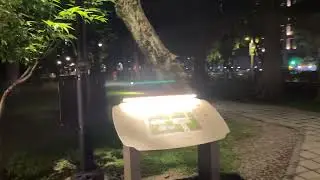 City Lights and Silent Streets | A Walk Around Sun Yat-Sen Memorial Hall