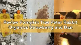 Review Pumpkin Tree Peter Rabbit Organics Strawberry and Banana Pure Fruit Snack, 4 Ounce (Pack of 1