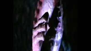 zygon