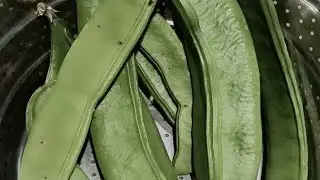 Khushboo Devi9999 is live! सभी भाई बहनों का स्वागत है सपोर्टकरो सब्सक्राइब करो