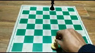 HOW TO MOVE THE KING IN CHESS #chesstrainingdeepaksoni