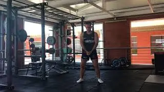 Dynamic Press Pallof