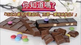 《巧克力真相曝光：黑巧、可可豆、發酵過程一次講清楚！》