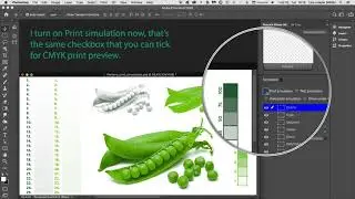 RetouchXPressCC2021 - Tutorial 9 - Spot-Color Print-Preview