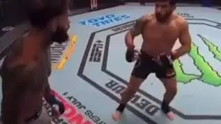 Knockout of the year?