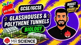 Glasshouses and Polythene tunnels | Bite-sized | GCSE | IGCSE Biology | Mr Science