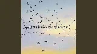 Hushed Moments