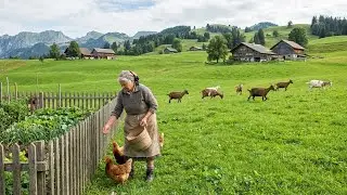 A CALM Countryside Morning | Peaceful Farm Life, Harvesting and Animal Care