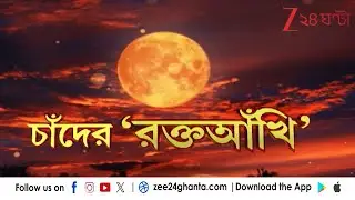 Blood Moon Lunar Eclipse: ৭ সেপ্টেম্বর পূর্ণিমাতে 'ব্লাড মুন লুনার একলিপ্স' | Zee 24 Ghanta