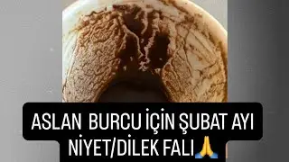 ASLAN BURCU İÇİN ŞUBAT AYINA ÖZEL NİYET/DİLEK FALI 🙏#aslanburcu #kahvefalı #tarot #fal #şubat 