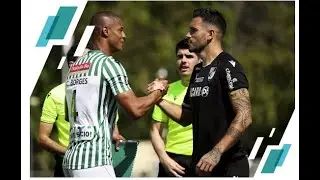 Lusitano de Évora sagra se campeão