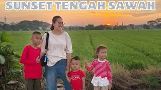🔴Healing di Tengah Sawah Saat Sunset Bikin Seru | Wanajaya Cibitung Bekasi #indonesia 