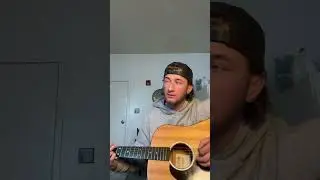 Mullein ash #singersongwriter #folksongwriter #acousticguitar #alternativefolkmusic #indiefolkmusic
