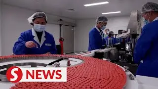 Oxford's Brazil vaccine trial to continue after volunteer dies