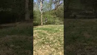 Full Send on CR1000cc 2 Stroke Dirt Bike! #shorts