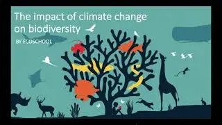 The impact of climate change on biodiversity