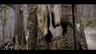 ROSLIN GLEN COUNTRY PARK SCOTLAND | PROMO VIDEO | B-ROLL | A7III | TAMRON 28-75MM | 4K