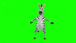 Zebra dance green screen 