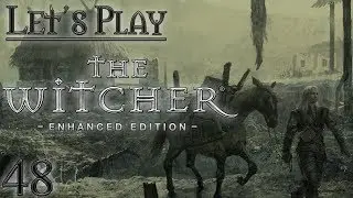 Let's Play The Witcher 1, Blind [48] - The Finale of the Witcher 1 (The Witcher: Enhanced Edition)