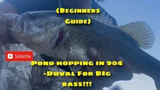 Fishing For Big BASS!!! (Beginner Guide)