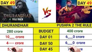 Dhurandhar movie day 49 collection|Dhurandhar|Pushpa 2|Ranveer Singh|topalways 
