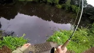 Frensham trout fishery - Fly Fishing