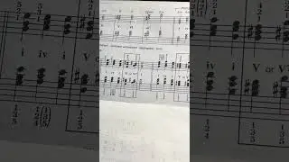 Lesion on E minor Cadences