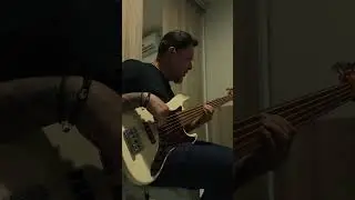 Bass Cover - Is This Love #baixistas #music #basscover #contrabaixo #groove #coverbaixo