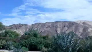 China Ranch Date Farm