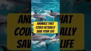 Animals That Could Actually Save Your Life #LifeSavingAnimals #AnimalHeroes #AnimalFacts