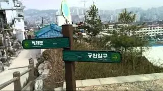 Naksan Seonggwak walking tour with Seoul Mate