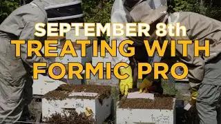 September 8th - Part 2: Fall Formic Pro Treatment