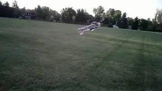 Crack Pitts 062212
