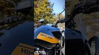 Himalayan 450 PPF Done With Garware PPF Ultimate Protection #shorts #ytshorts #trendingshorts