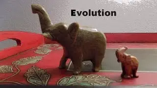 EVOLUTION by THE BATTERSBY DUO