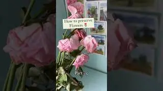 How to preserve real flowers 🌷 | Drying flowers in seconds 😉 #diy #arthacks #flowerpressing