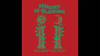 Aura Safari & Jimi Tenor - Your Magic Touch (Reverso 68 Dub)
