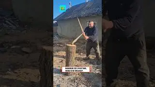 Epic Funny Video 😂😂😂 #shorts #viralshorts #comedy #funnymoments #fails #humor