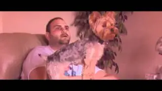 Yorkie Titanic scene (Must See)