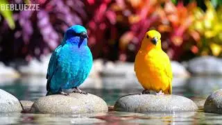 🌿 Gentle piano and meadow birdsong bringing harmony, calm, and deep relaxation 🌿