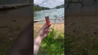 мой разум после победы климата :))