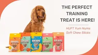 Soft Treats loved by all dogs | HUFT Yum Nums