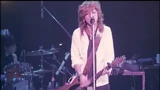 清春　海岸線